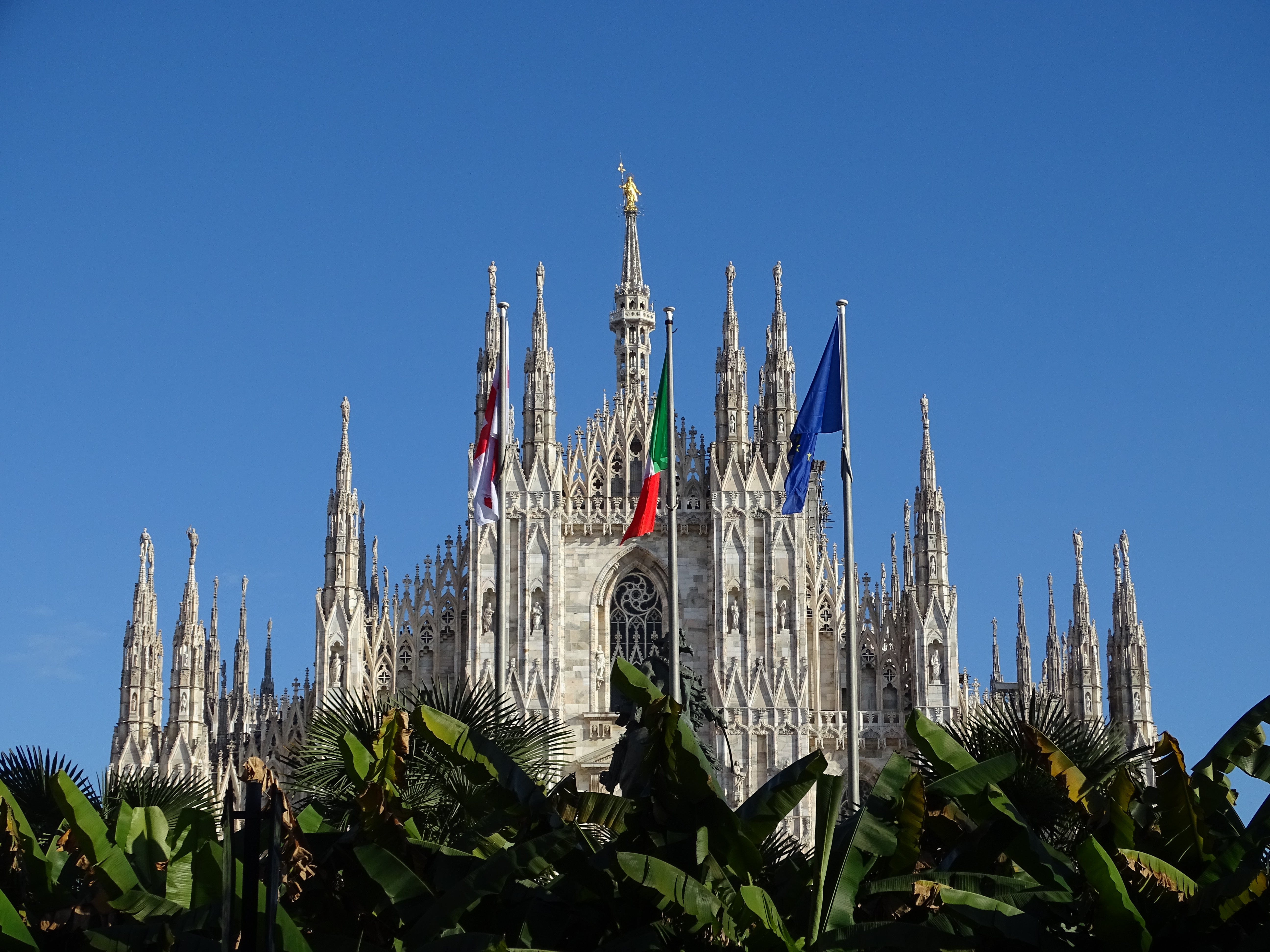 Un Duomo tra le palme